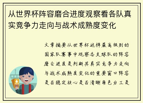 从世界杯阵容磨合进度观察看各队真实竞争力走向与战术成熟度变化